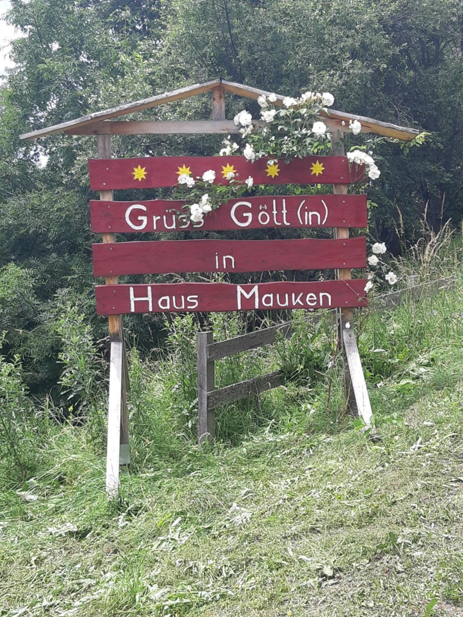 Haus Mauken - Appartments Mit Panoramablick Apartment Murau